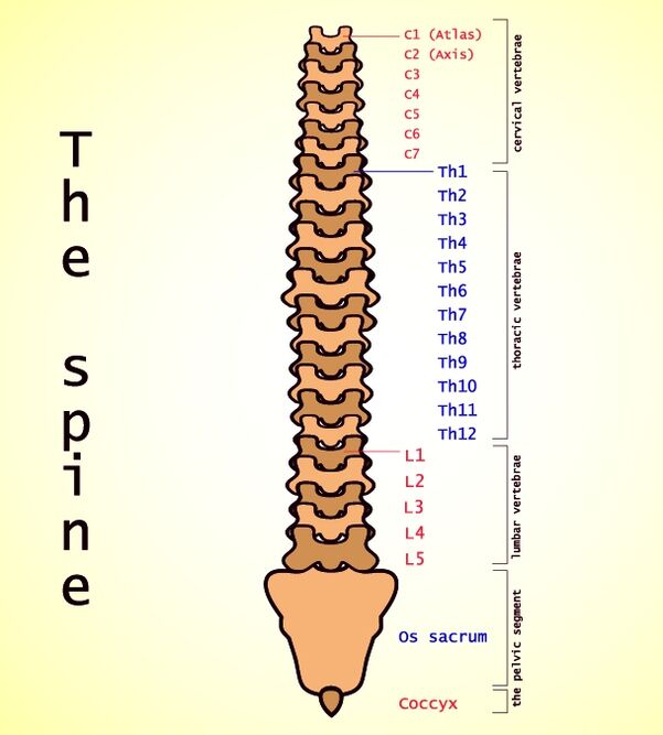 lumbar օստեոխոնդրոզ